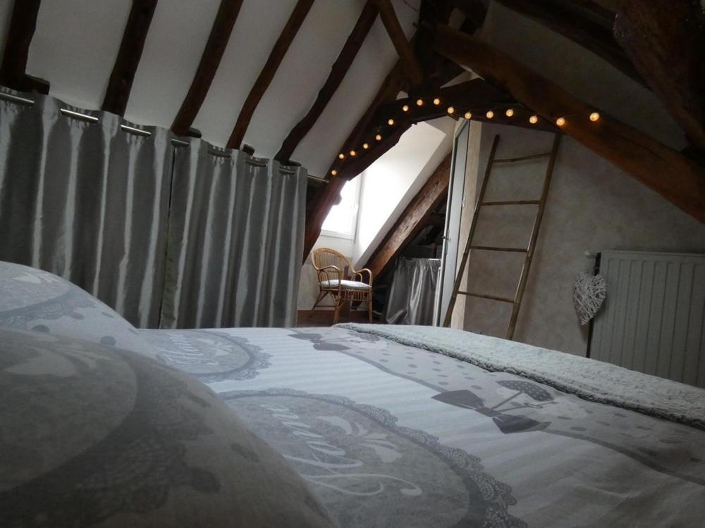 Charming House - Beauval - Loire Valley